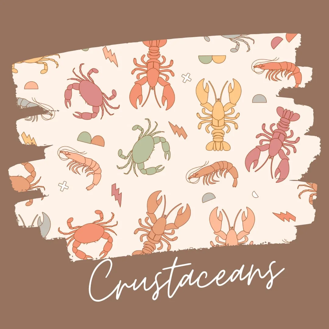 Summer Pre-order Oversized T-shirt Co-ords